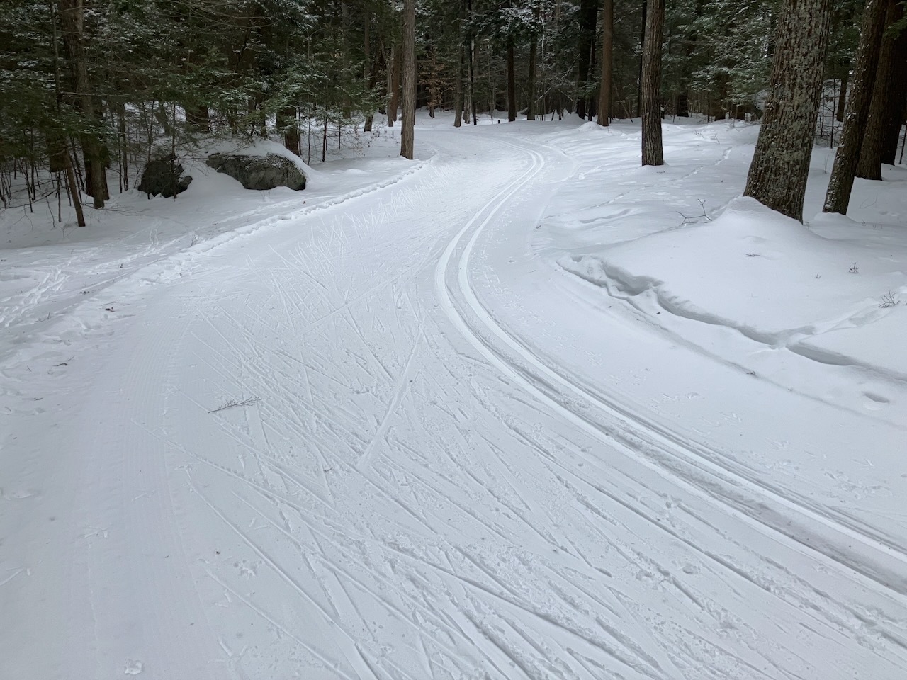 a photo of a cross country ski trail winding through the woods, and a screenshot of a map showing gpx tracks of a ski outing