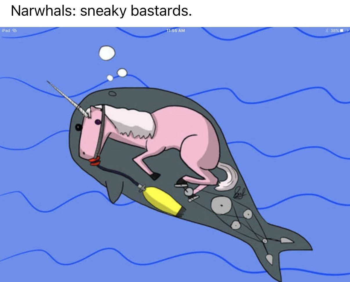 a unicorn using a narwhal as trojan horse